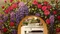 carousel chooser